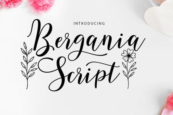 Bergania Script: A Modern Typeface for Creative Branding