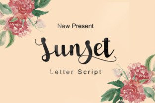 Capture Golden Hour: Styling Your Brand with Sunset Script