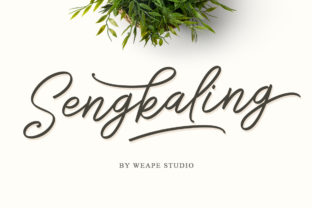 Sengkaling Script: A Dynamic Typeface for Modern Creators