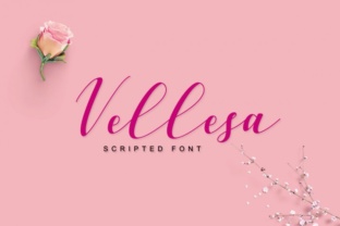 Vellesa Script: The Handmade Font for Elegant Design