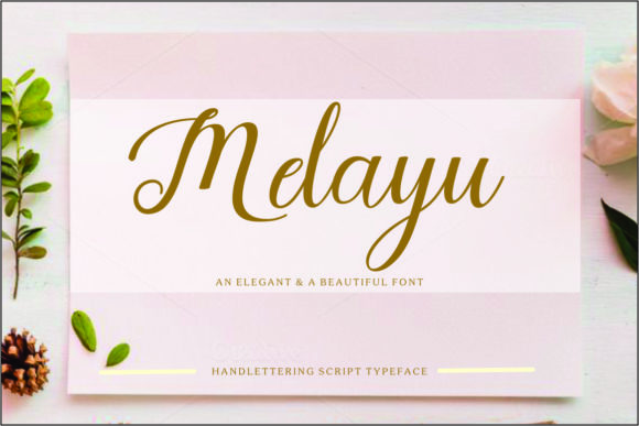 Why Melayu Script is Your Go-To for Elegant Design Projects