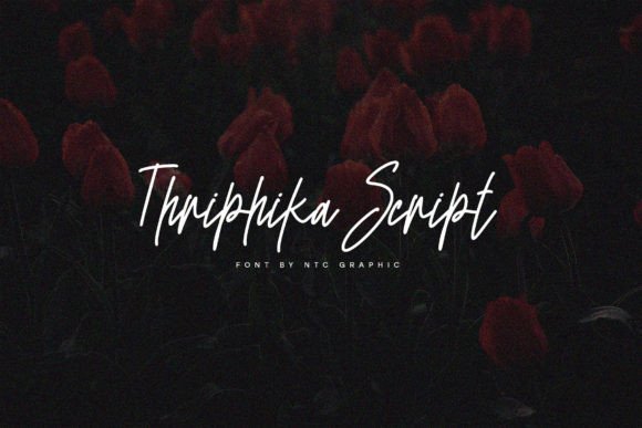 Why Thriphika Script Is Your New Secret Weapon for Authentic Design